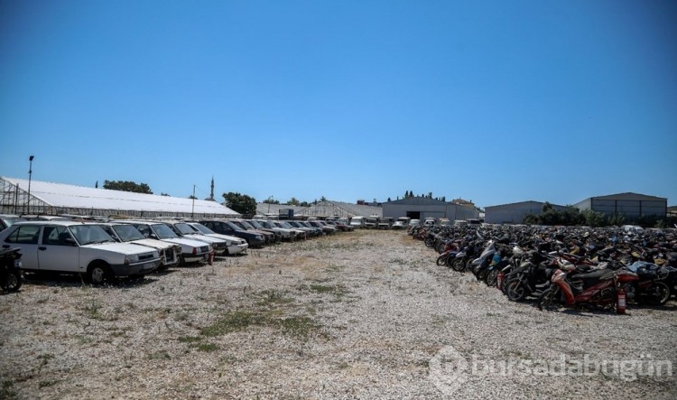 Binlerce araç çürümeye terk edildi