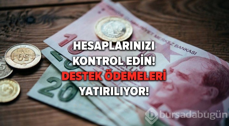 'Aile Destek Programı' başvurusu nasıl yapılır? 