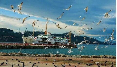 Bursa'da gezilecek yerler: Gemlik