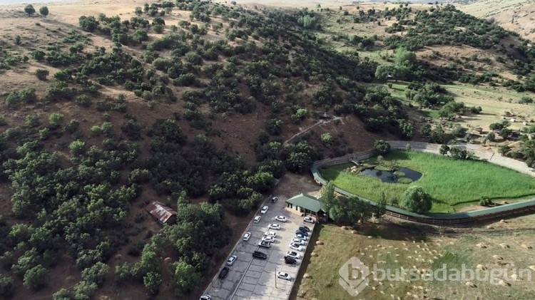 Adaları 'sopa' ile yönlendirmeye uyarı