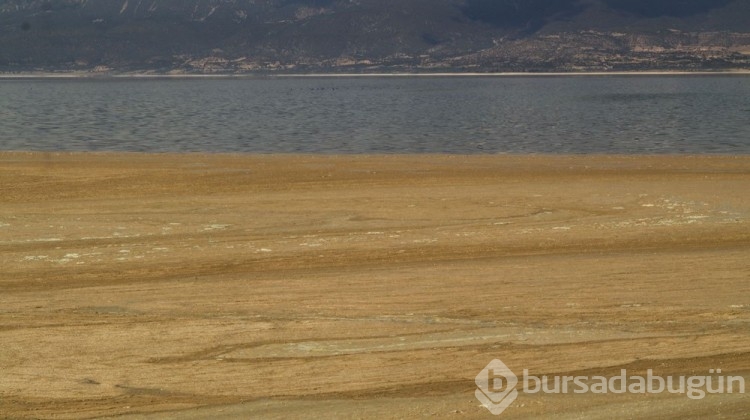 Burdur Gölü'nde alg patlaması