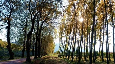 Bursa'da gezilecek yerler: Kestel