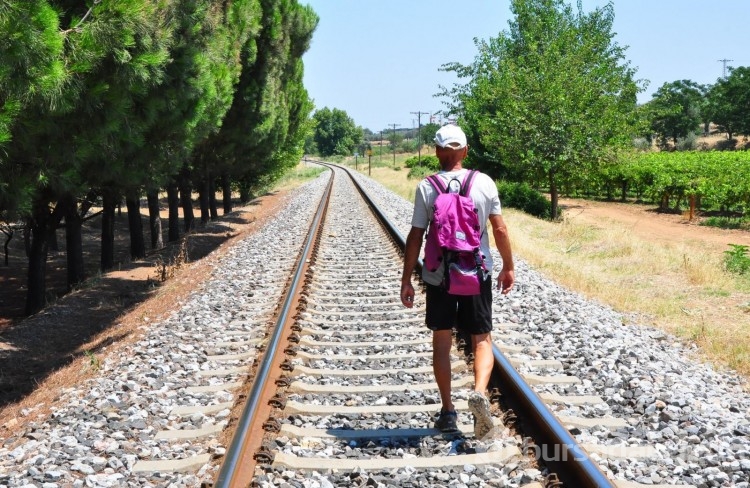 Her gün 20 kilometre yürüyüp kaplumbağaları kurtarıyor
