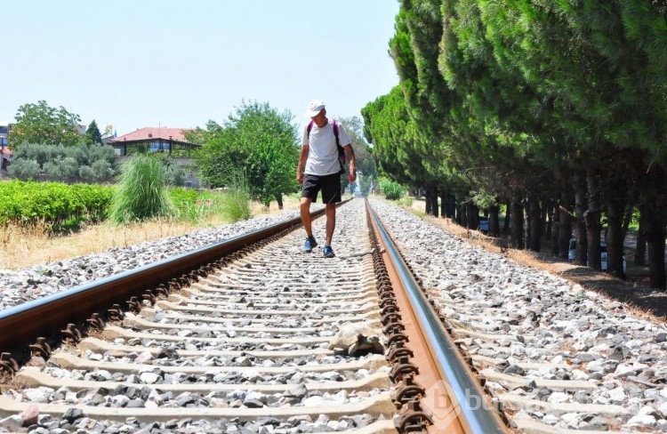 Her gün 20 kilometre yürüyüp kaplumbağaları kurtarıyor