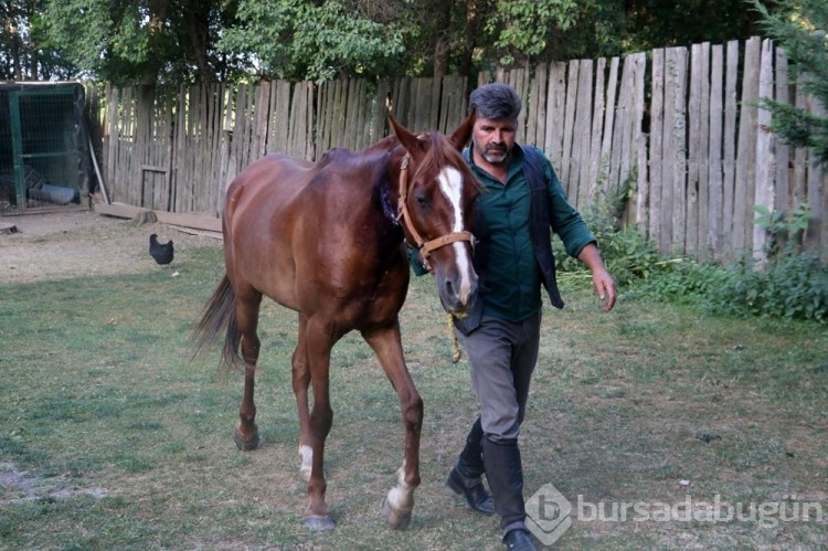 Bahçe hortumu ile 'bypass'