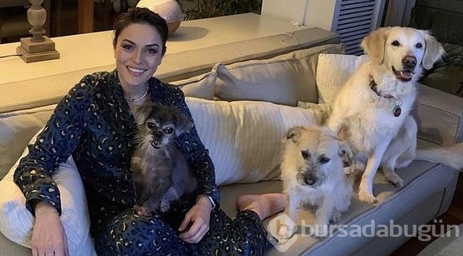 Ezgi Molanın köpeği ameliyat oldu işte o duygusal anlar...