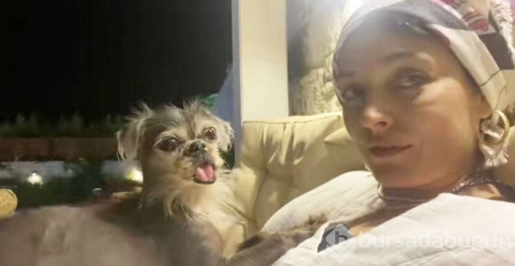 Ezgi Molanın köpeği ameliyat oldu işte o duygusal anlar...
