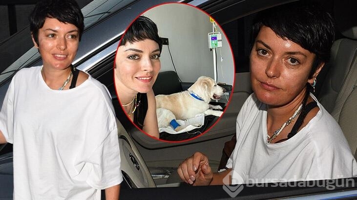 Ezgi Molanın köpeği ameliyat oldu işte o duygusal anlar...