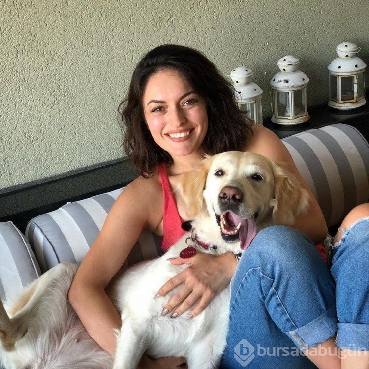 Ezgi Molanın köpeği ameliyat oldu işte o duygusal anlar...