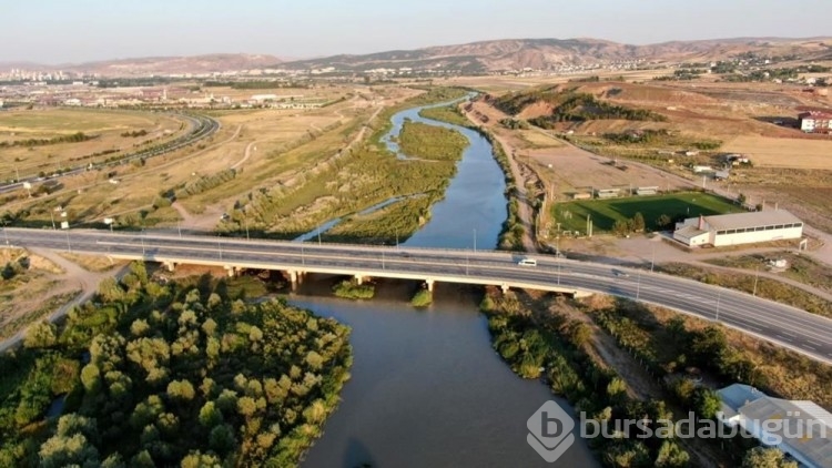 Kızılırmak'taki balık ölümlerinin nedeni belli oldu
