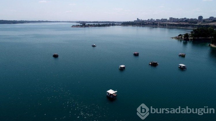 Adana'daki korsan duba turizmi
