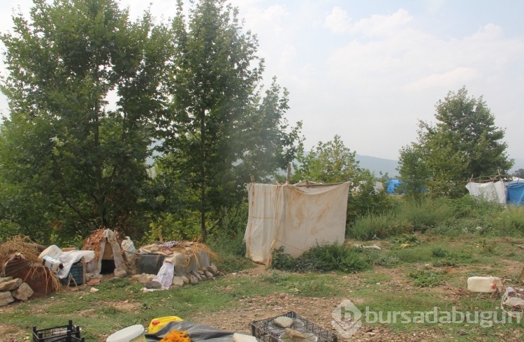 Bursa'ya çalışmak için gelen mevsimlik işçilerin zorlu hayat hik&acirc;yeleri (ÖZEL HABER) 