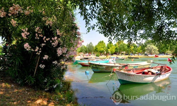 Bursa'da gezilecek yerler: Uluabat Kuş Cenneti