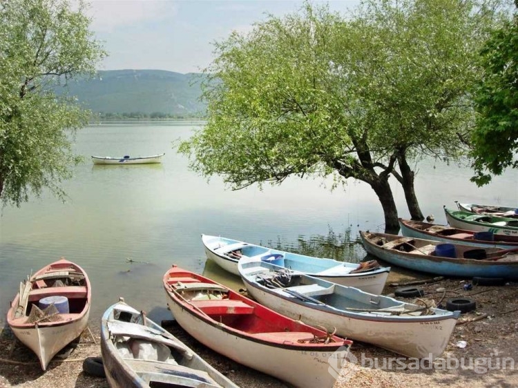 Bursa'da gezilecek yerler: Uluabat Kuş Cenneti