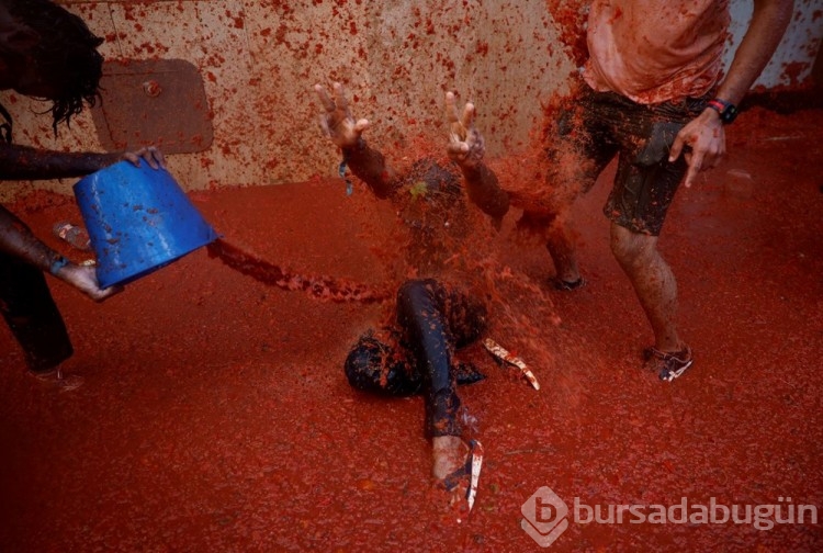 İspanya'da La Tomatina festivalinde 130 ton domates havalarda uçuştu
