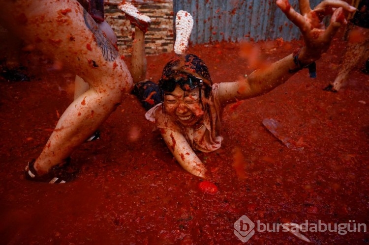 İspanya'da La Tomatina festivalinde 130 ton domates havalarda uçuştu
