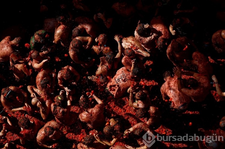 İspanya'da La Tomatina festivalinde 130 ton domates havalarda uçuştu
