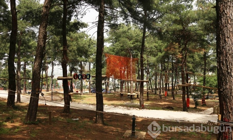 Bursa'da Gezilecek Yerler: Balat Ormanı