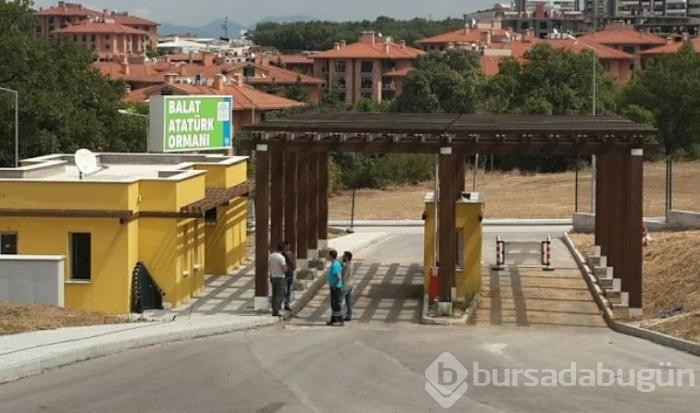 Bursa'da Gezilecek Yerler: Balat Ormanı