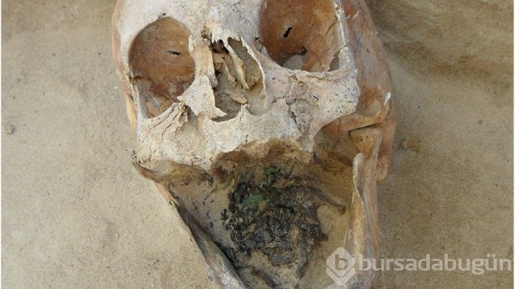 Polonya'da bin yıllık "vampir" mezarı bulundu
