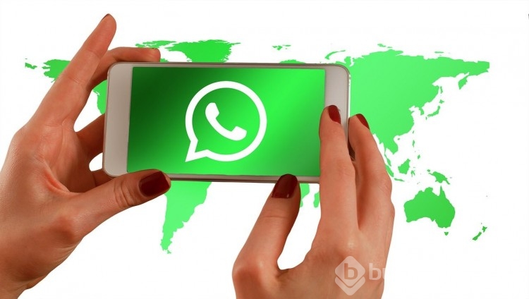 Twitter'da WhatsApp butonu şaşkına uğrattı! Ne anlama geliyor?

