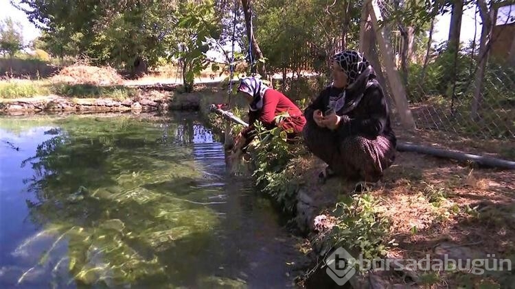 Elazığ'ın saklı cenneti: Dipsiz Göl