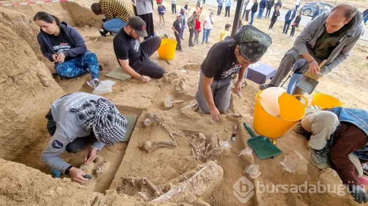 Gürcistan'da 1,8 milyon yıllık insan dişi bulundu