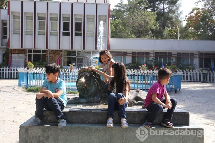 Afganistan'ın Kadın-erkek ayrımı hayvanları zora soktu