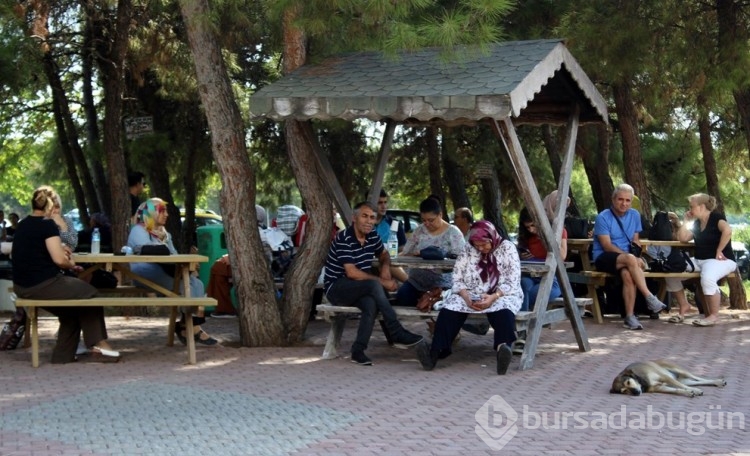 Türkiye'de KPSS heyecanı