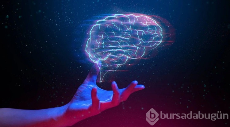  Dünya geneli IQ sıralamasında Türkiye 48. oldu
