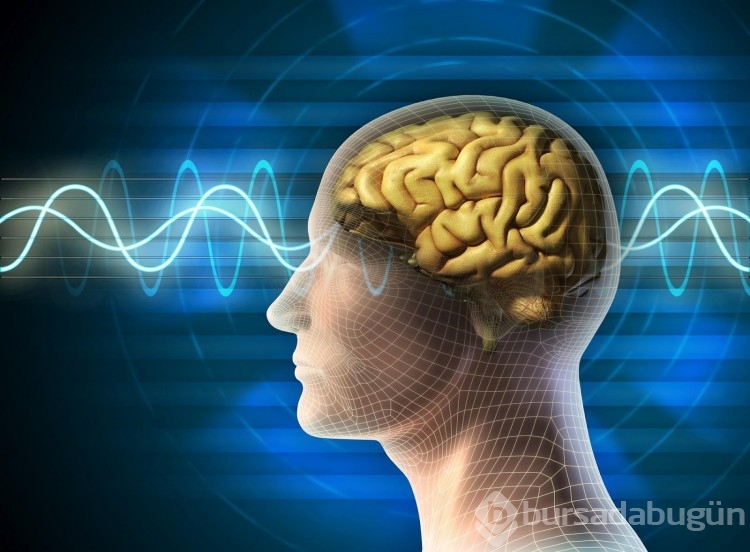  Dünya geneli IQ sıralamasında Türkiye 48. oldu
