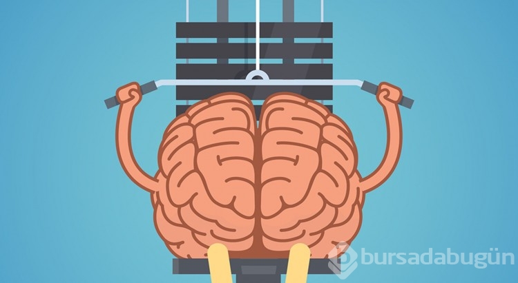  Dünya geneli IQ sıralamasında Türkiye 48. oldu
