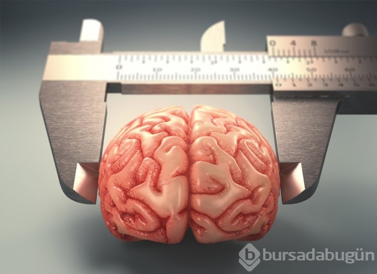  Dünya geneli IQ sıralamasında Türkiye 48. oldu
