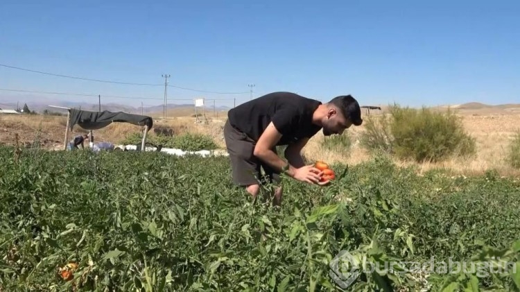 Marketteki fiyatlara kızdı, kimsenin yapmadığını yaptı