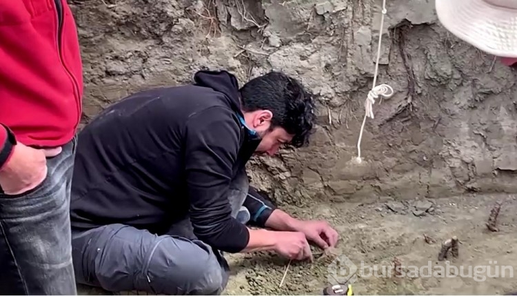 12 bin yıl öncesine ait fil kalıntıları bulundu