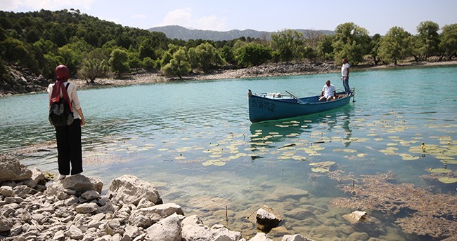 Hacıakif Adası doğa tutkunlarının ilgi odağı oldu
