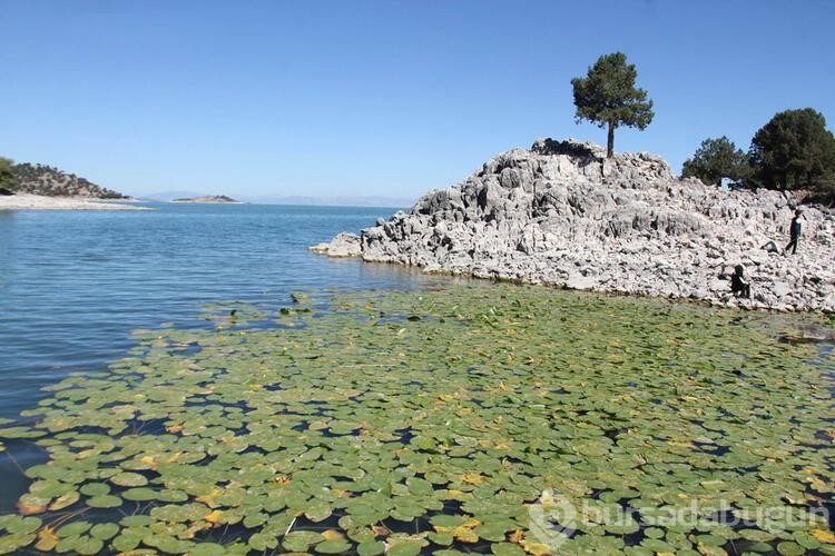 Hacıakif Adası doğa tutkunlarının ilgi odağı oldu

