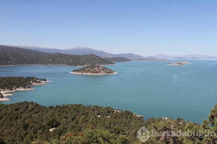Hacıakif Adası doğa tutkunlarının ilgi odağı oldu

