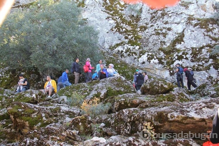 Hacıakif Adası doğa tutkunlarının ilgi odağı oldu

