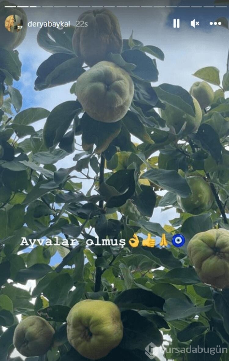 Derya Baykal kış için hazırlığa başladı
