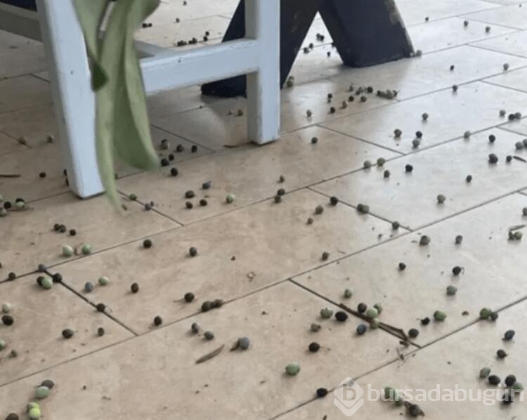 Derya Baykal kış için hazırlığa başladı