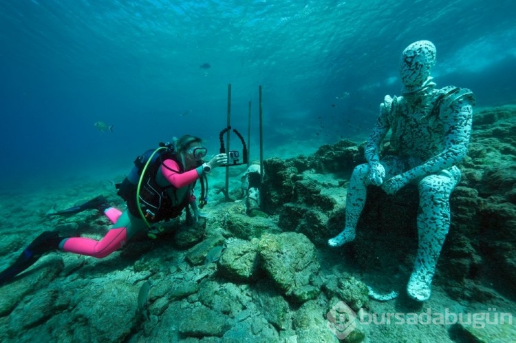 Bodrum'un su altı dünyasında tarih ve doğal yaşam bir arada görüntülendi
