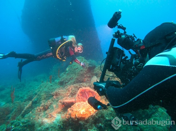 Bodrum'un su altı dünyasında tarih ve doğal yaşam bir arada görüntülendi
