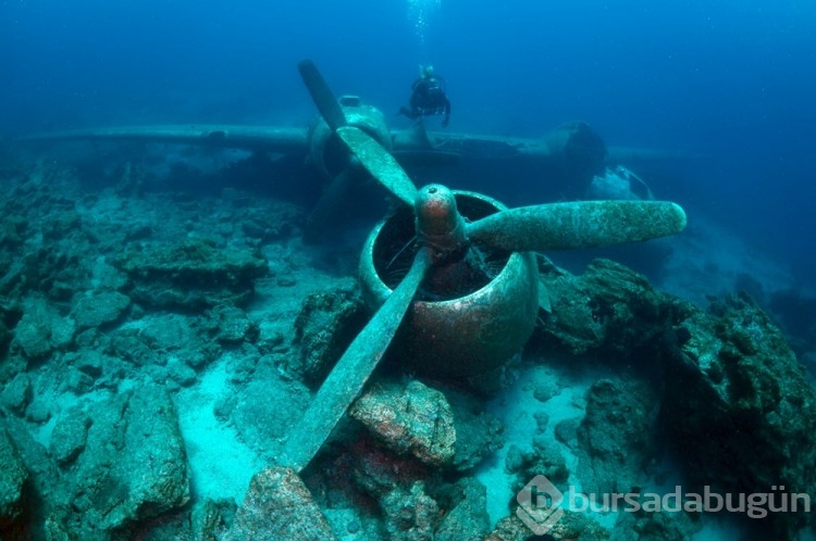 Bodrum'un su altı dünyasında tarih ve doğal yaşam bir arada görüntülendi
