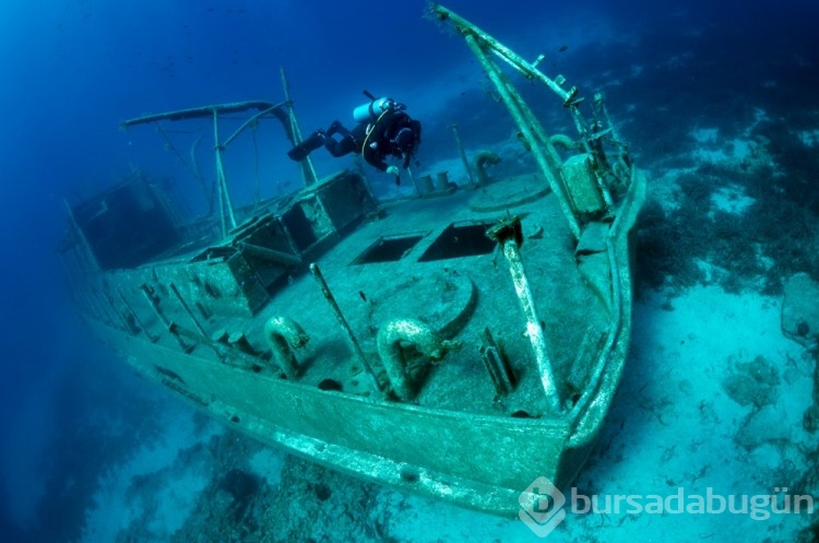 Bodrum'un su altı dünyasında tarih ve doğal yaşam bir arada görüntülendi
