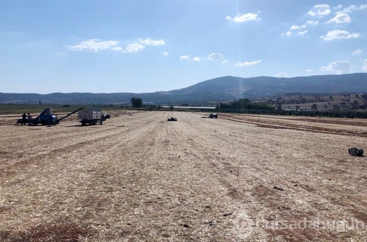 'Kuş Cenneti'nde bir damla su kalmadı!