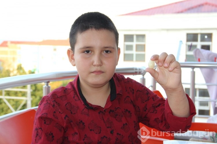 9 yaşındaki Muhammed leblebi yer gibi sarımsak tüketiyor