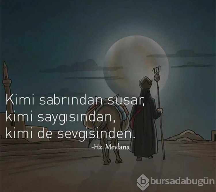  Ajda Pekkan ve Bülent Ersoy yine birbirine girdi!