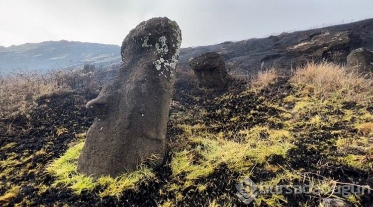 Dünya mirası 500 yıllık Rapa Nui heykelleri yangında onarılamaz hasar gördü