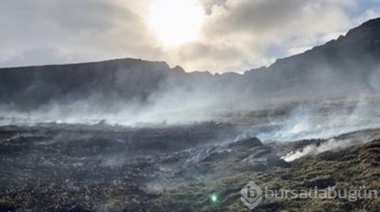 Dünya mirası 500 yıllık Rapa Nui heykelleri yangında onarılamaz hasar gördü